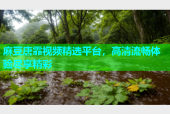 麻豆唐霏视频精选平台，高清流畅体验尽享精彩