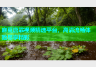麻豆唐霏视频精选平台，高清流畅体验尽享精彩