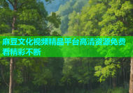 麻豆文化视频精品平台高清资源免费看精彩不断