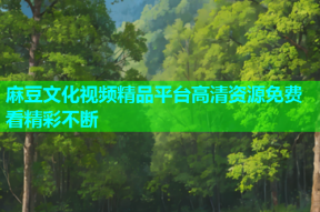 麻豆文化视频精品平台高清资源免费看精彩不断