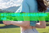 麻豆AV视频观o高清流畅免费看精彩内容