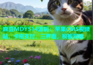 麻豆MDYS14源码：苹果CMS视频站，卡密支付，三界面，模板双端