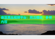 麻豆黑丝视频平台：高清播放，多样内容