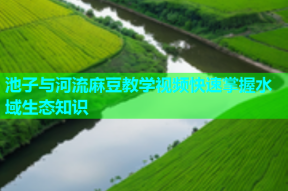 池子与河流麻豆教学视频快速掌握水域生态知识