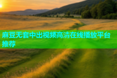 麻豆无套中出视频高清在线播放平台推荐