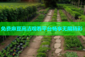 免费麻豆高清观看平台畅享无限精彩