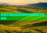 麻豆影视剧情精彩解析免费看高清完整版