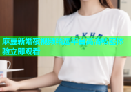 麻豆新婚夜视频精选平台高清私密体验立即观看