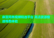 麻豆同类视频精选平台 高清资源极速观看体验