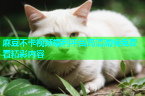 麻豆不卡视频福利平台高清流畅免费看精彩内容