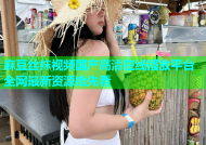 麻豆丝袜视频国产高清在线播放平台全网最新资源抢先看