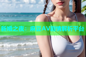 新婚之夜：麻豆AV剧情解析平台