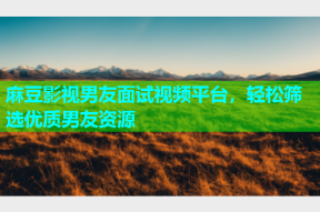 麻豆影视男友面试视频平台，轻松筛选优质男友资源