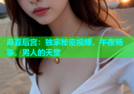 麻豆后宫：独家秘密视频，午夜畅享，男人的天堂