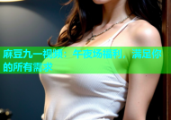 麻豆九一视频：午夜场福利，满足你的所有需求
