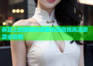 麻豆上的视频在哪里快速查找高清资源全攻略