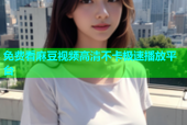 免费看麻豆视频高清不卡极速播放平台