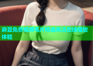 麻豆免费视频毛片精选高清在线播放体验