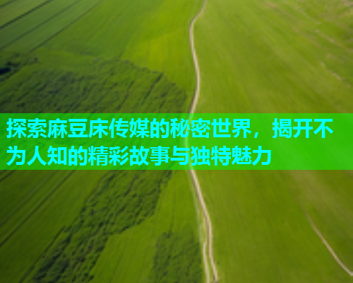 探索麻豆床传媒的秘密世界，揭开不为人知的精彩故事与独特魅力  第2张