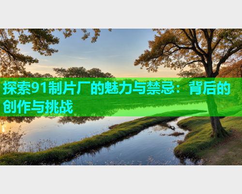 探索91制片厂的魅力与禁忌：背后的创作与挑战  第1张