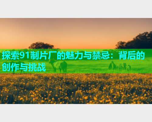 探索91制片厂的魅力与禁忌：背后的创作与挑战  第2张
