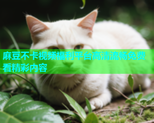 麻豆不卡视频福利平台高清流畅免费看精彩内容  第1张
