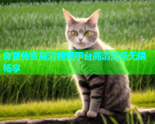 麻豆免费高清视频平台高清流畅无限畅享  第2张