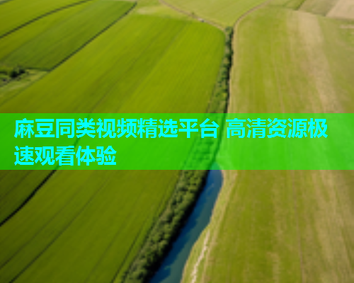 麻豆同类视频精选平台 高清资源极速观看体验  第1张