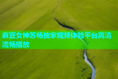 麻豆女神苏畅独家视频体验平台高清流畅播放