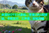 麻豆MDYS14源码：苹果CMS视频站，卡密支付，三界面，模板双端