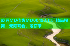 麻豆MD传媒MD0049入口：精品视频，无限观看，等你来