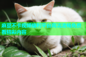 麻豆不卡视频福利平台高清流畅免费看精彩内容