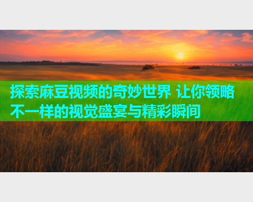 探索麻豆视频的奇妙世界 让你领略不一样的视觉盛宴与精彩瞬间  第1张