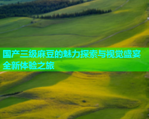 国产三级麻豆的魅力探索与视觉盛宴全新体验之旅  第1张