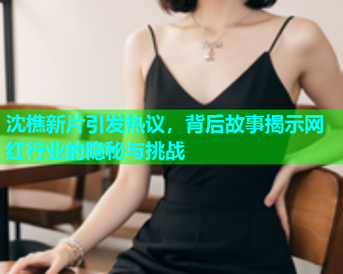 沈樵新片引发热议，背后故事揭示网红行业的隐秘与挑战  第1张