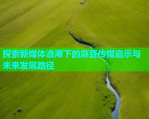 探索新媒体浪潮下的麻豆传媒启示与未来发展路径  第1张