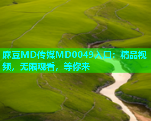 麻豆MD传媒MD0049入口：精品视频，无限观看，等你来  第1张